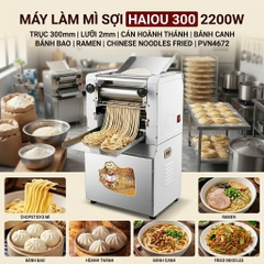 Máy Làm Mì Sợi Haiou 300 2200W Trục 300 mm Lưỡi 2 mm Cán Hoành Thánh Bánh Canh Bánh Bao Ramen Chinese Noodles Fried PVN4672