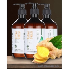 🧴 Bộ Tinh Dầu Nguyên Chất 10ml – Massage • Xông Hơi • Giảm Đau • Thư Giãn