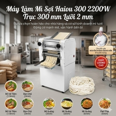 Máy Làm Mì Sợi Haiou 300 2200W Trục 300 mm Lưỡi 2 mm Cán Hoành Thánh Bánh Canh Bánh Bao Ramen Chinese Noodles Fried PVN4672