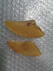 {Đủ Mẫu} BỘ DỤNG CỤ MASSAGE - ẤN HUYỆT - CẠO GIÓ BẰNG SỪNG TỰ NHIÊN