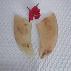 {Đủ Mẫu} BỘ DỤNG CỤ MASSAGE - ẤN HUYỆT - CẠO GIÓ BẰNG SỪNG TỰ NHIÊN