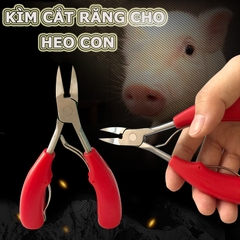 Kềm Cắt Móng Chân Cứng Mọc Ngược, Kìm Cắt Răng Lợn Kìm Bấm Nanh Cho Heo Con Bằng Thép Không Gỉ