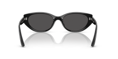 RAY-BAN 0RB4457D 667787 55 BLACK