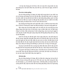 Sách - Cây thuốc Việt Nam trồng hái chế biến trị bệnh ban đầu (bìa cứng MT)