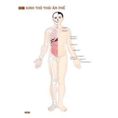 Sách - Đồ giải kinh lạc huyệt vị cơ thể (MT)
