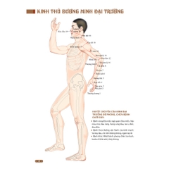 Sách - Đồ giải kinh lạc huyệt vị cơ thể (MT)