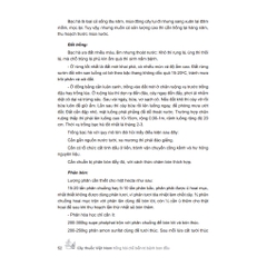 Sách - Cây thuốc Việt Nam trồng hái chế biến trị bệnh ban đầu (bìa cứng MT)