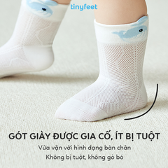 Tất Vớ cotton cho bé 1-3 tuổi TINYFEET KS11 mềm mại, kháng khuẩn