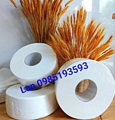 Giấy vệ sinh cuộn 700g