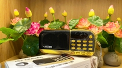 Đài nghe Craven CR-836 2 Pin USB, Thẻ nhớ, Đài FM
