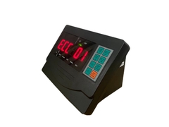 Bộ chỉ thị kỹ thuật số D30-1