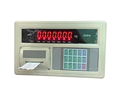 Bộ chỉ thị XK3190-A9P