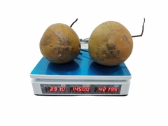 Cân điện tử tính tiền CAS PR-30B- 30kg