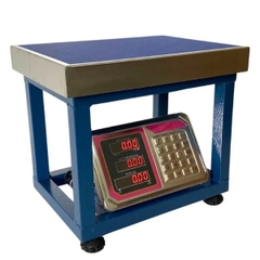 Cân ghế điện tử 150kg TCS-A6