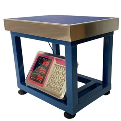 Cân ghế điện tử 150kg TCS-A6