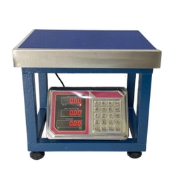 Cân ghế điện tử 150kg TCS-A6