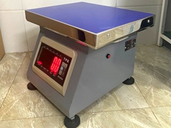 Cân ghế ngồi điện tử TV300-TPS