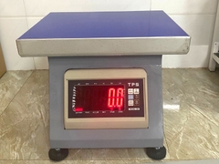 Cân ghế ngồi điện tử TV300-TPS