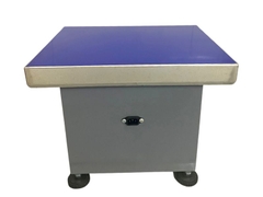 Cân ghế ngồi điện tử TV300-TPS