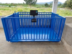 Cân heo điện tử D30-1 2 tấn 1.5x2m