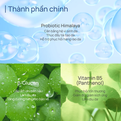 [Mua 3 tặng 1] Mặt nạ hỗ trợ phục hồi chứa Probiotic Chando Himalaya (hộp 5 miếng)