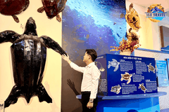 Viện Hải Dương Học Nha Trang