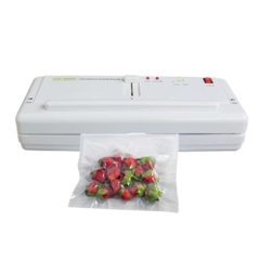 Máy Hút Chân Không DZ300A