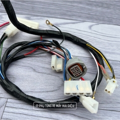 Dây Điện Sườn Sport 120Cc MALAYSIA (Sport-Xipo-Rgv-Rgx-Satria)