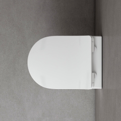 Bàn cầu treo tường V902