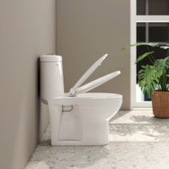 Bàn cầu trẻ em BTE