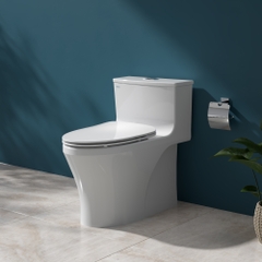 Bàn cầu một khối HL2