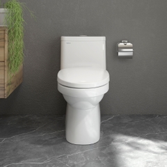 Bàn cầu một khối MK2