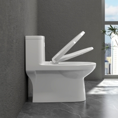 Bàn cầu một khối MK2