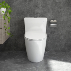 Bàn cầu một khối P355 (P.11.320)