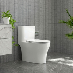 Bàn cầu một khối P356 (P.11.321)