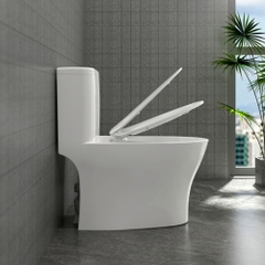 Bàn cầu một khối P356 (P.11.321)