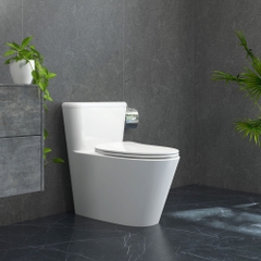 Bàn cầu một khối P358 (P.11.450)