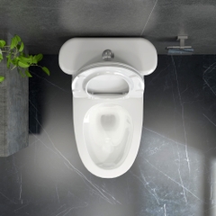 Bàn cầu một khối P358 (P.11.450)