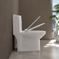 Bàn cầu một khối S301