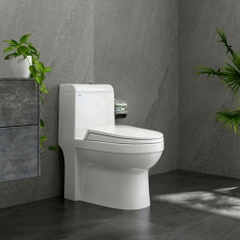 Bàn cầu một khối S304