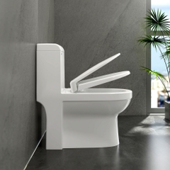 Bàn cầu một khối S304