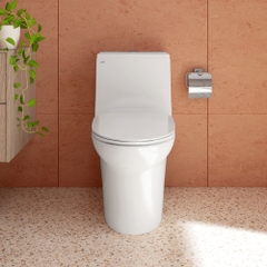 Bàn cầu một khối S306