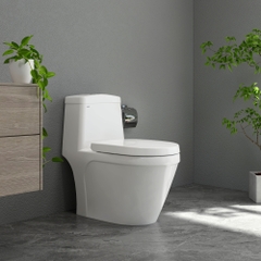 Bàn cầu một khối S308