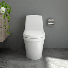 Bàn cầu một khối S308