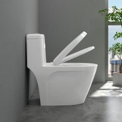 Bàn cầu một khối S308