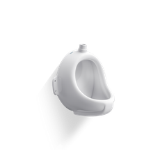 Tiểu nam treo tường TT1