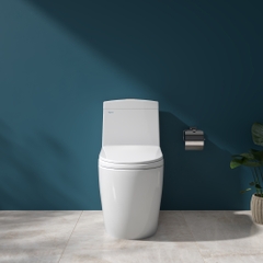 Bàn cầu một khối V199