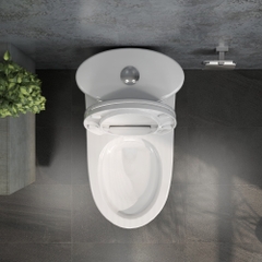 Bàn cầu một khối V37M