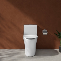 Bàn cầu một khối V45M