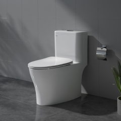 Bàn cầu một khối V63